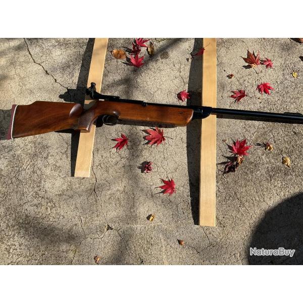 Carabine  plomb Diana