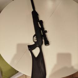 GAMO A PLOMBS ROADSTER