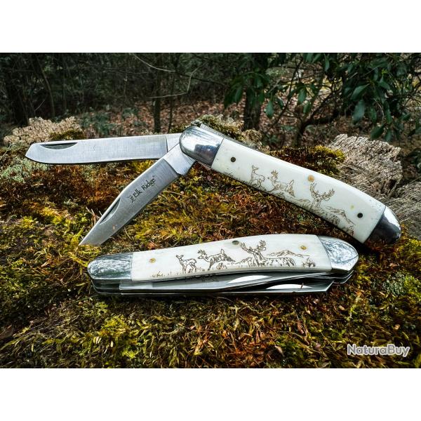Couteau Pliant Elk Ridge Trapper 2 Lames Acier Inoxydable Manche en Os Gravures Chevreuil Cran Forc