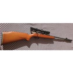 carabine 22 long rifle avec silencieux