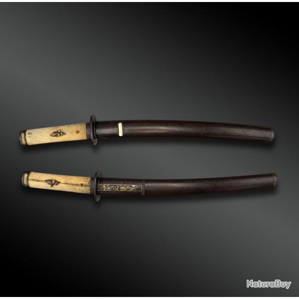 SABRE appel Wakizashi - Japon - Priode Edo (1603-1868)