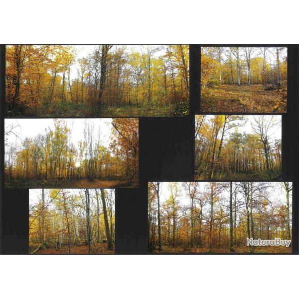 27,7750 ha - FORT DE LA MALADRERIE - ( 45 ) LOIRET