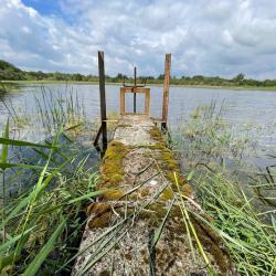 PROPRIETE DE CHASSE ET DE LOISIR EN BRENNE (36)