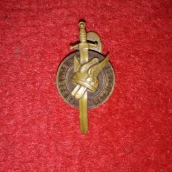 Rare Insigne de beret calot jeunesse patriotique collection militaria histoire