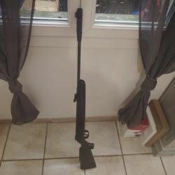 Carabine a plomb 19,9J elite