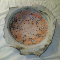 COUPE A FRUITS SIGNNE