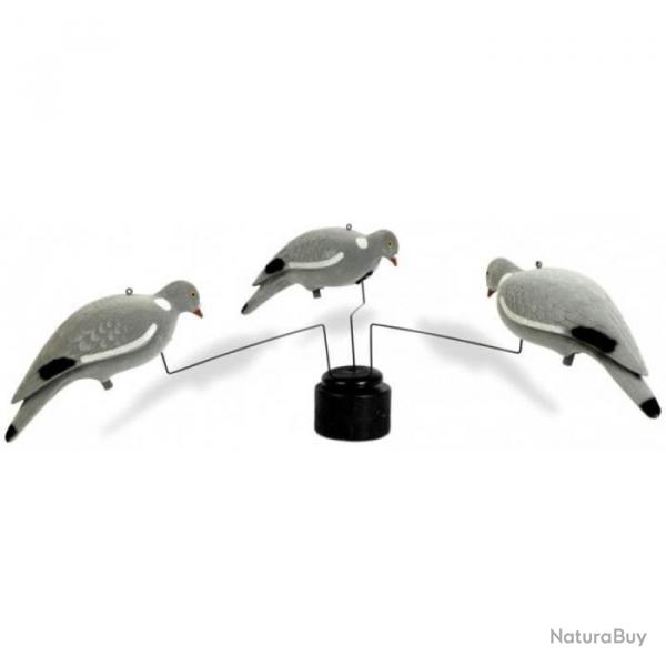 Mange  pigeon Stepland Default Title