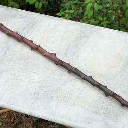 ARMEE FRANCAISE canne épineuse - bâton de marche 14 18 - WWI -  (lib)