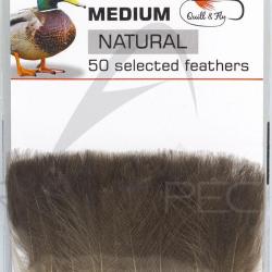 Cul de canard select taille M Gris naturel