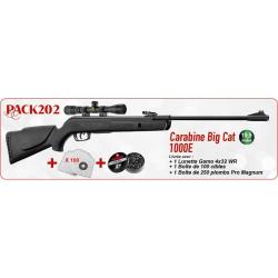 Pack carabine Gamo Big Cat 1000E Noël Cal.4.5mm