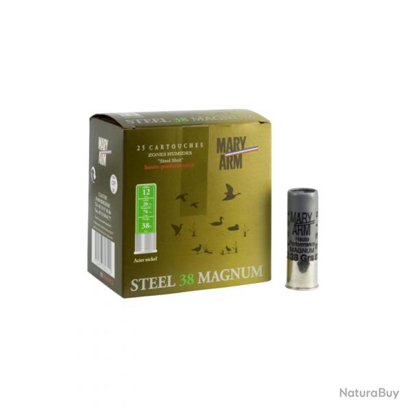 Cartouche Mary Arm STEEL 38 Magnum 12/76 n1+2 Acier