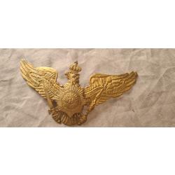 Plaque de casque a pointe,  de la garde laiton WW1