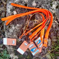 Lot de 5 colliers  Biothane 30/50 cm ... gravés