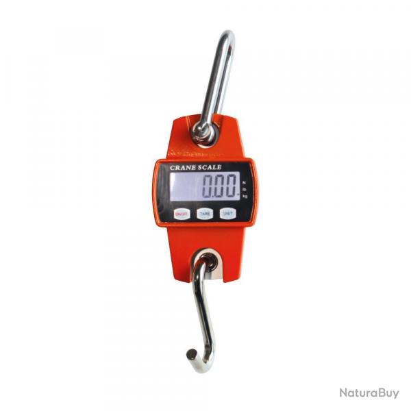 PESON ELECTRONIQUE 250KG  gg