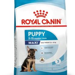 Croquettes Royal Canin