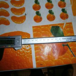 pied &agrave; coulisse digital