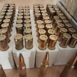 Cartouches 300 savage