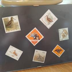 Timbres de b&eacute;casses