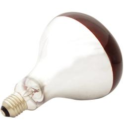 Ampoule infrarouge pour éleveuse 100 W