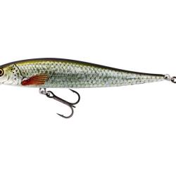 Leurre WESTIN Jerkbite SR 9 cm 8 g Real Roach