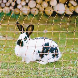 Filet électrifiable pour lapins 25m H0,65m simple pointe Kerbl