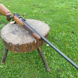 REMINGTON 504 en calibre 22lr à un euro sans prix de réserve