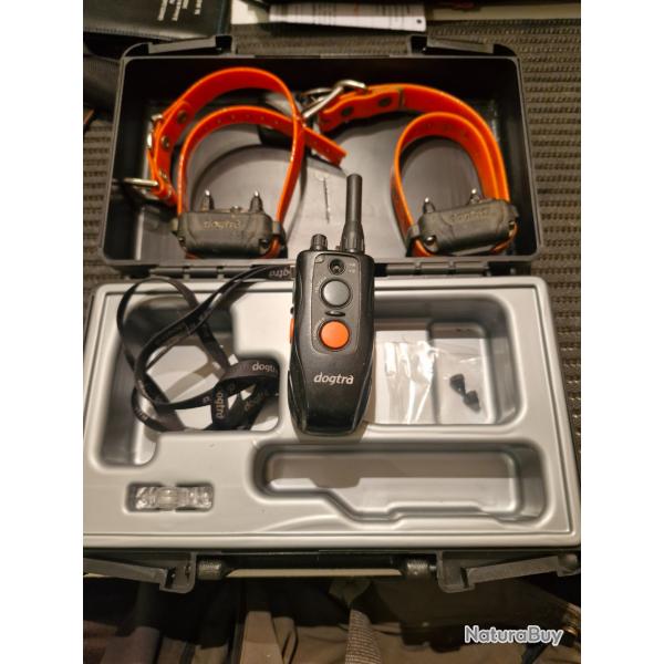 2 colliers dressage chien