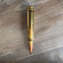 Balle blaser cal 300 win