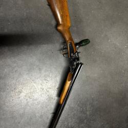 Rossi Coach gun 12/76 chien extérieur