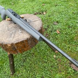 REMINGTON 597 en catégorie C1a à un euro sans prix de réserve