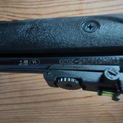 Carabine à pompe 22LR ROSSI GALLERY