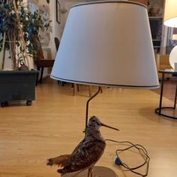 Lampe avec b&eacute;casse naturalis&eacute;e