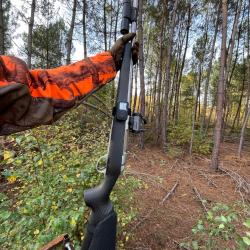 Sako 85 carbonlight 270win