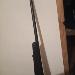 Carabine savage  axis 30.06