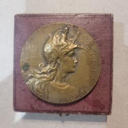 M&Eacute;DAILLES BRONZE / BROCHE LAITON