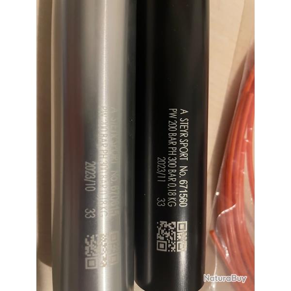 Steyr EVO 10 (droitier) + equipements