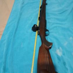 Carabine à verrou 300 Win mag antonio zoli avec point rouge