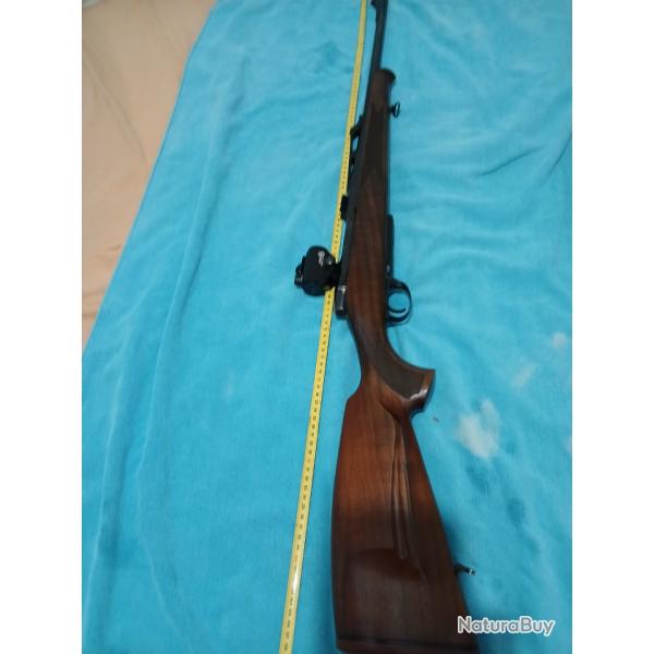 Carabine  verrou 300 Win mag antonio zoli avec point rouge