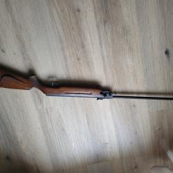 Carabine a plomb hw35
