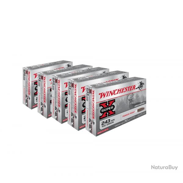 BALLES 243WIN PP 100GR - WINCHESTER