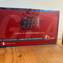 1 x 20 Balle  300wm Sologne GPA 180gr - 11,7g