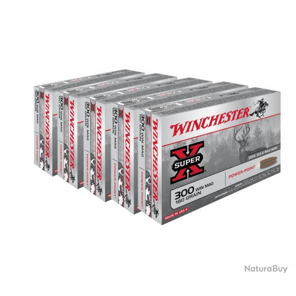 BALLES 300WM PP 180GR - WINCHESTER