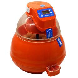 Black Friday ! Couveuse automatique Novital Covatutto 16L Pro