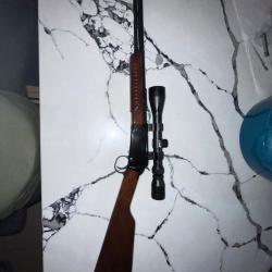 Carabine Henry &agrave; pompe 22lr