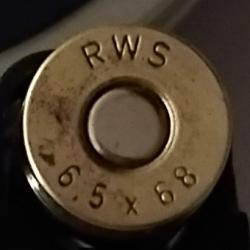 6.5x68 RWS  (1)