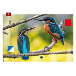 Blasons doubles petits animaux - Ai2M - 1