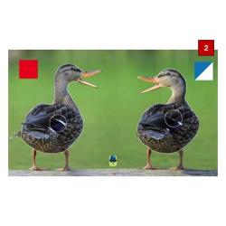 Blasons doubles petits animaux - Ai2M - 2