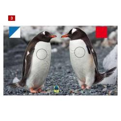 Blasons doubles petits animaux - Ai2M - 3