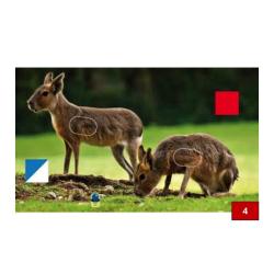 Blasons doubles petits animaux - Ai2M - 4