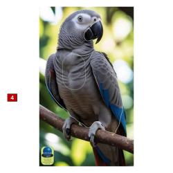 Blasons petits animaux 0 - Ai2M - 4